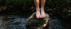 waarom-aarden-zo-belangrijk-is-earthing-grounding-aarding-vitaminearth.nl-